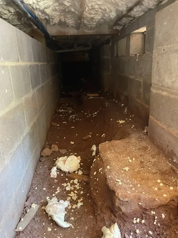 Standing water in a crawl space under a pier-and-beam home in Southwest Fort Worth