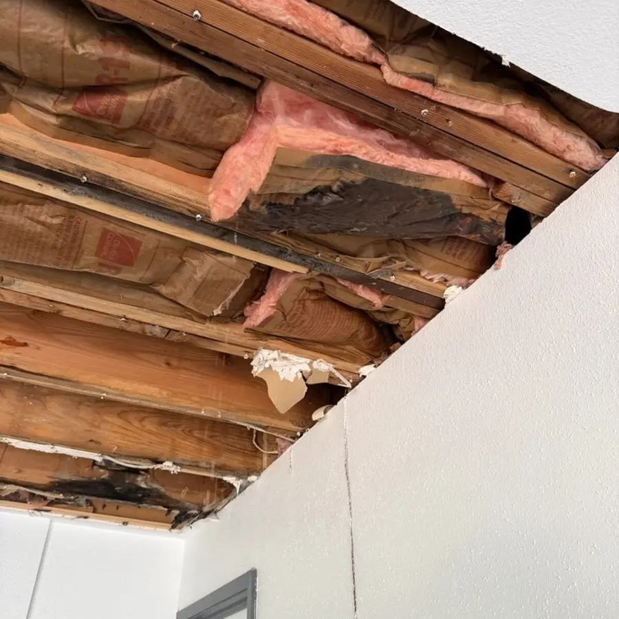 Water-damaged attic rafters and insulation after a roof hail leak in Southwest Fort Worth